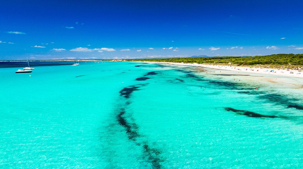 Es Trenc, Mallorca, Balearic Islands, Spain