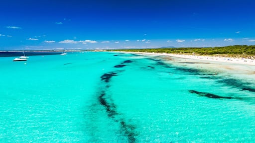 Port d'Andraitx