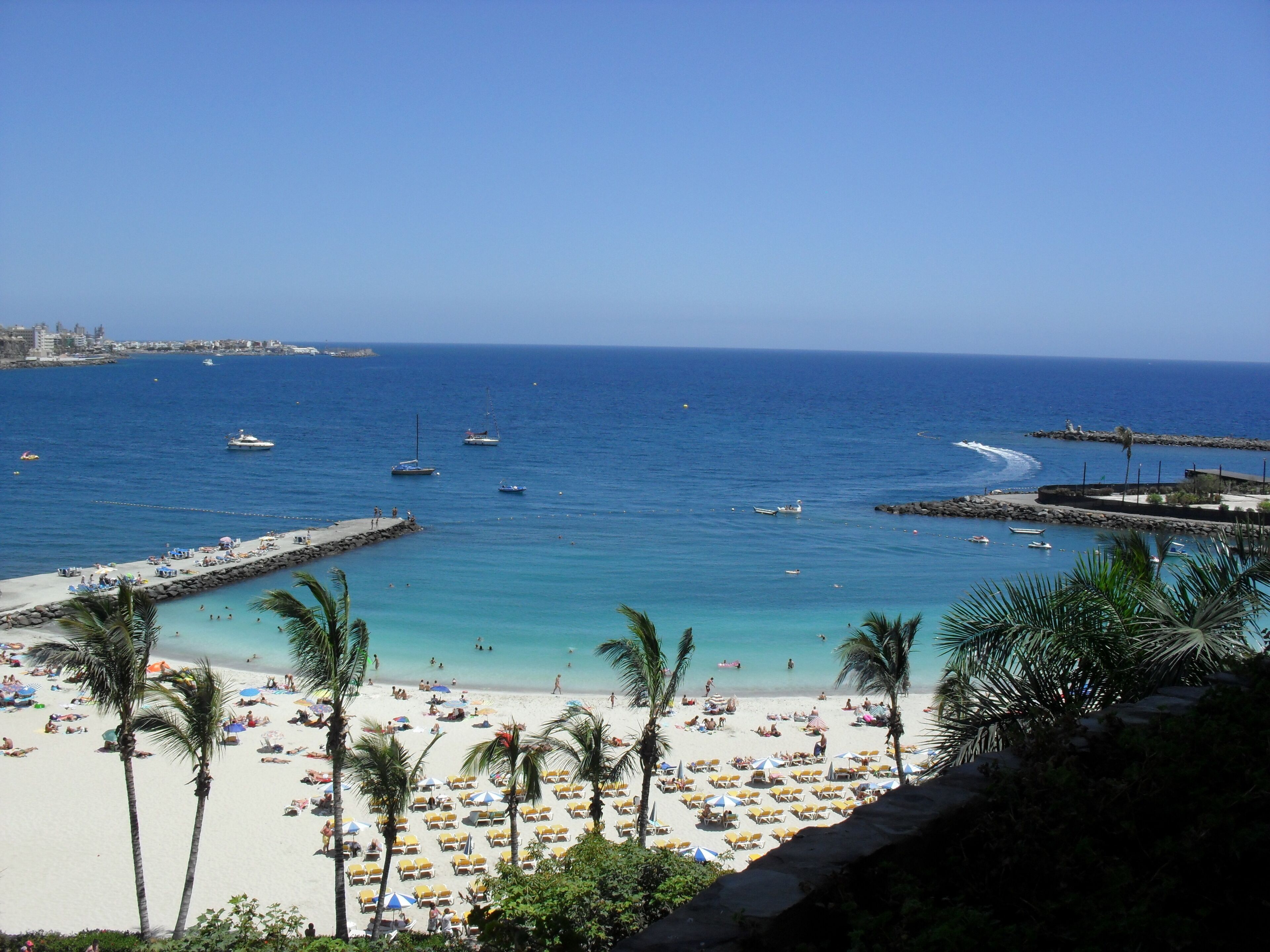 A beach with palm trees, a pier, and boats on the water.