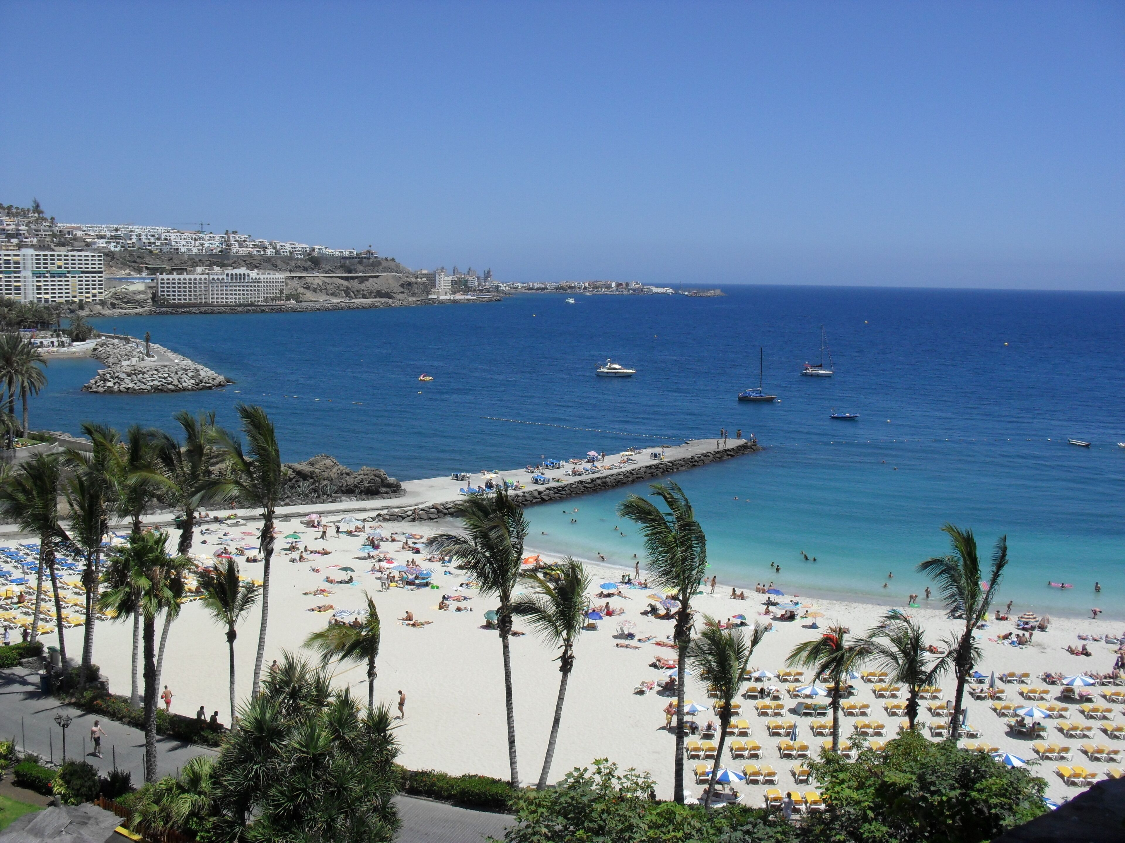 A beach with palm trees, a pier, and boats in the water.