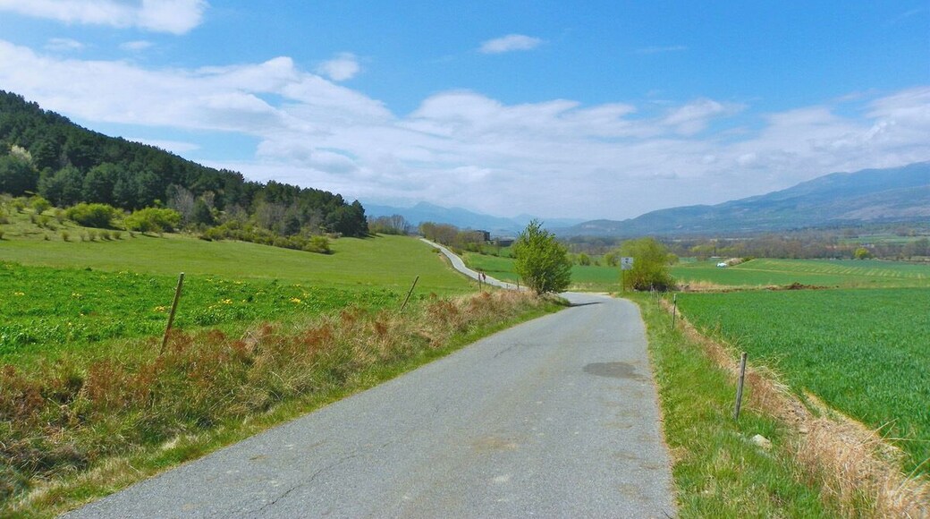 Carretera entre Vilallobent i les Pereres