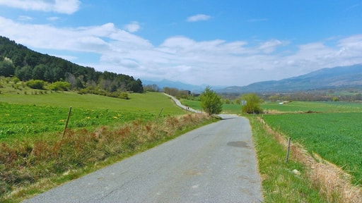 Carretera entre Vilallobent i les Pereres