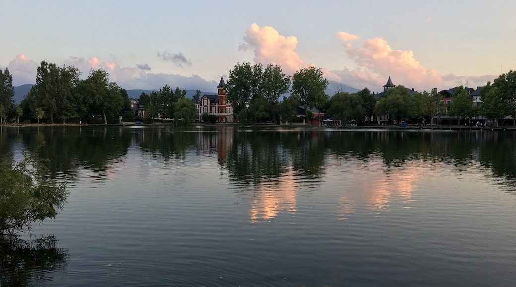 Estany de Puigcerdà