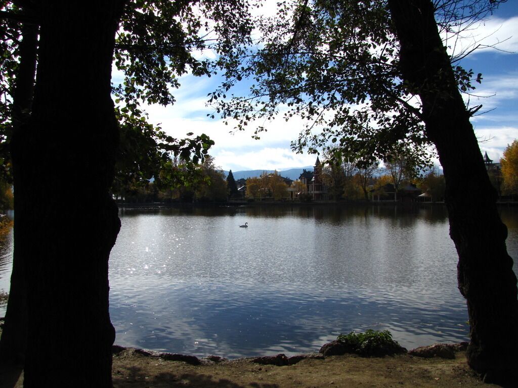 A calm lake surrounded by trees and buildings in the background.