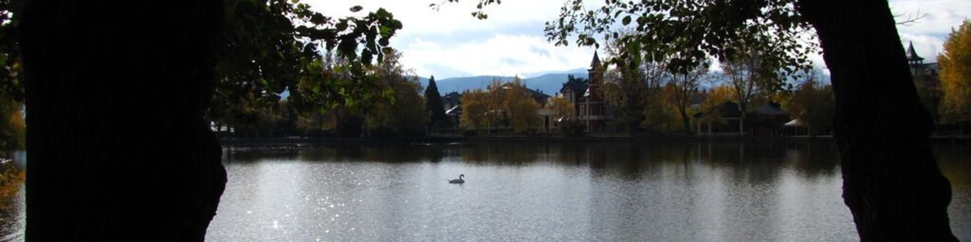 A calm lake surrounded by trees and buildings in the background.