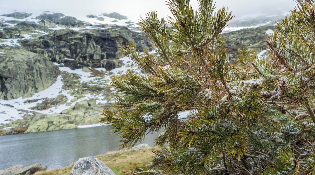 Peรฑalara (Madrid)