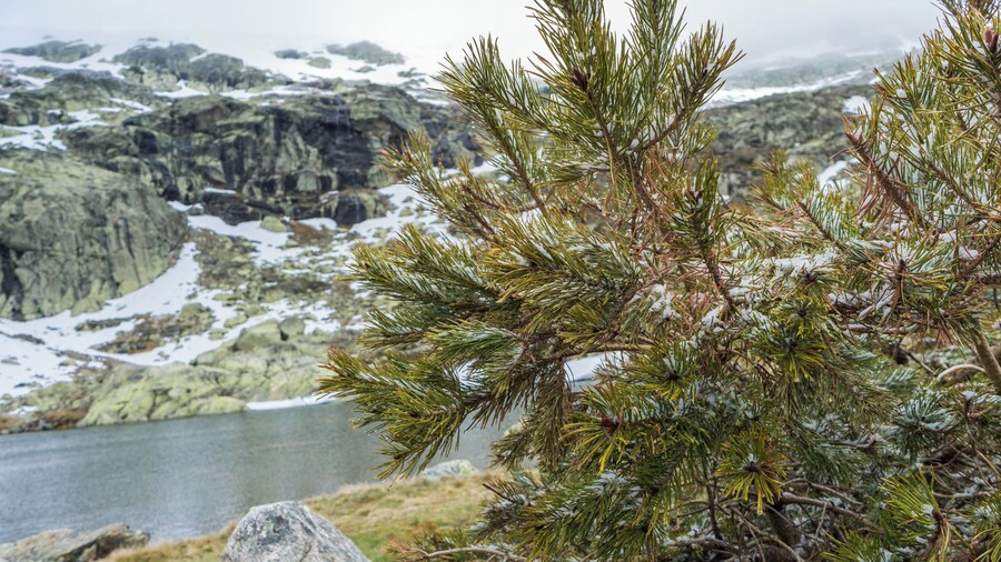 Sierra de Guadarrama