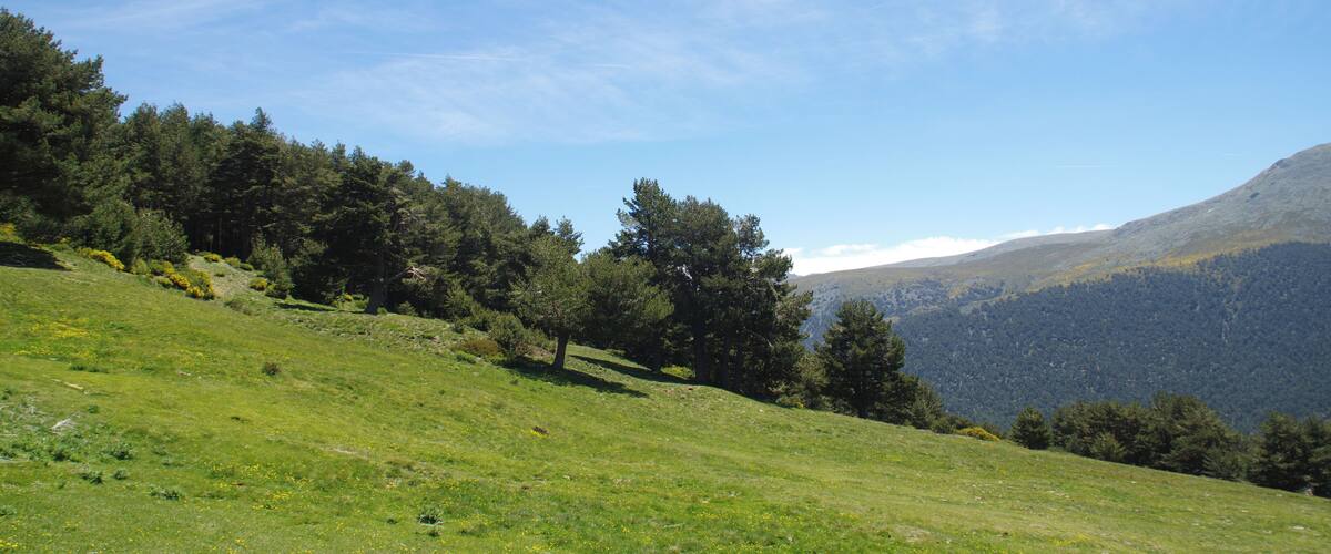 Âźs K3 SD Ă âŒ MADRID PEĂALARA segĂșn KATRESYA