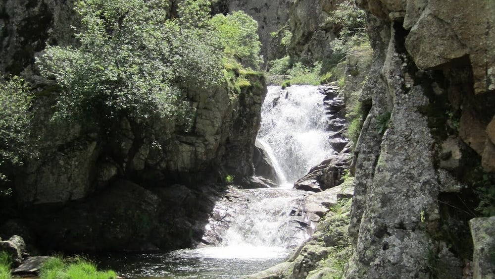 A waterfall cascading down a rocky cliff into a shallow stream surrounded by lush greenery.