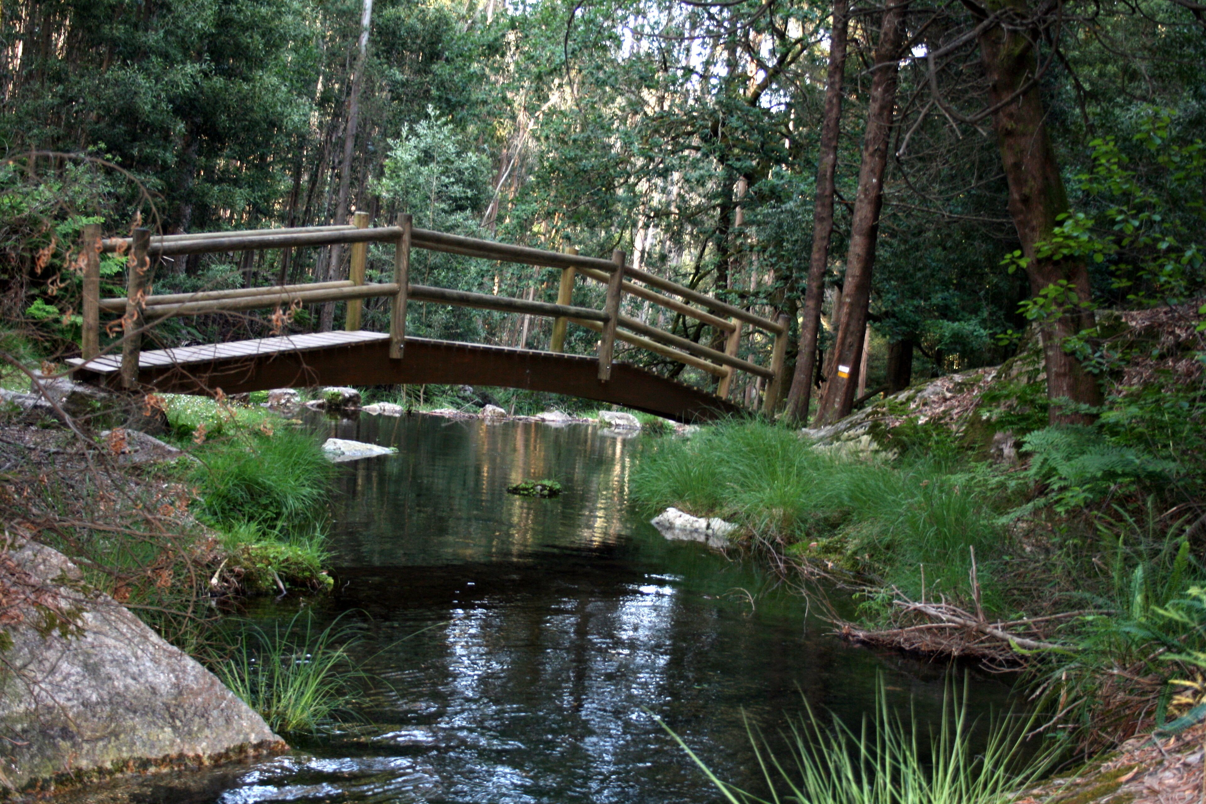 O Rosal puente en o Folón