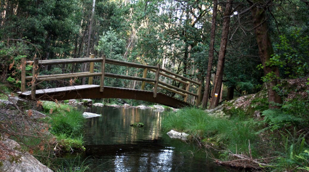 O Rosal puente en o Folón