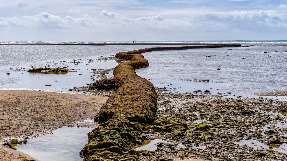 Eine Küstenlandschaft mit einer langen, moosbewachsenen Felsformation, die sich ins Wasser erstreckt, einem Sandstrand und einer fernen Küstenlinie mit Menschen.