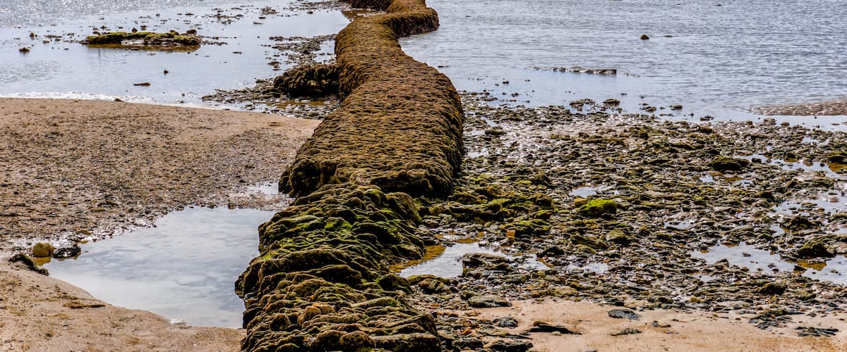 A coastal landscape with a long, moss-covered rock formation extending into the water, a sandy beach, and a distant shoreline with people.