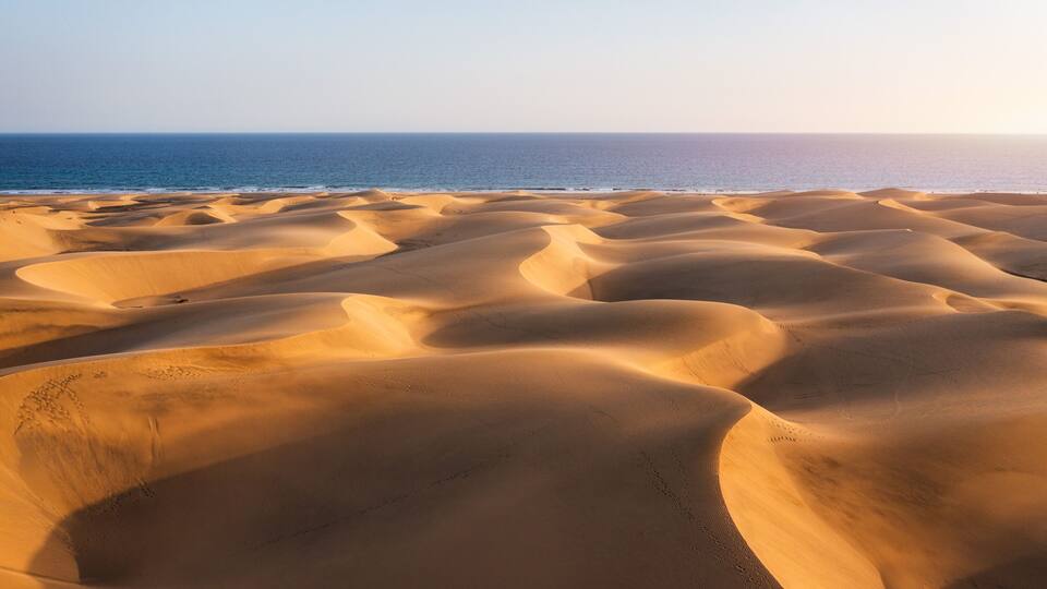 Sand dunes with a clear view of the ocean.