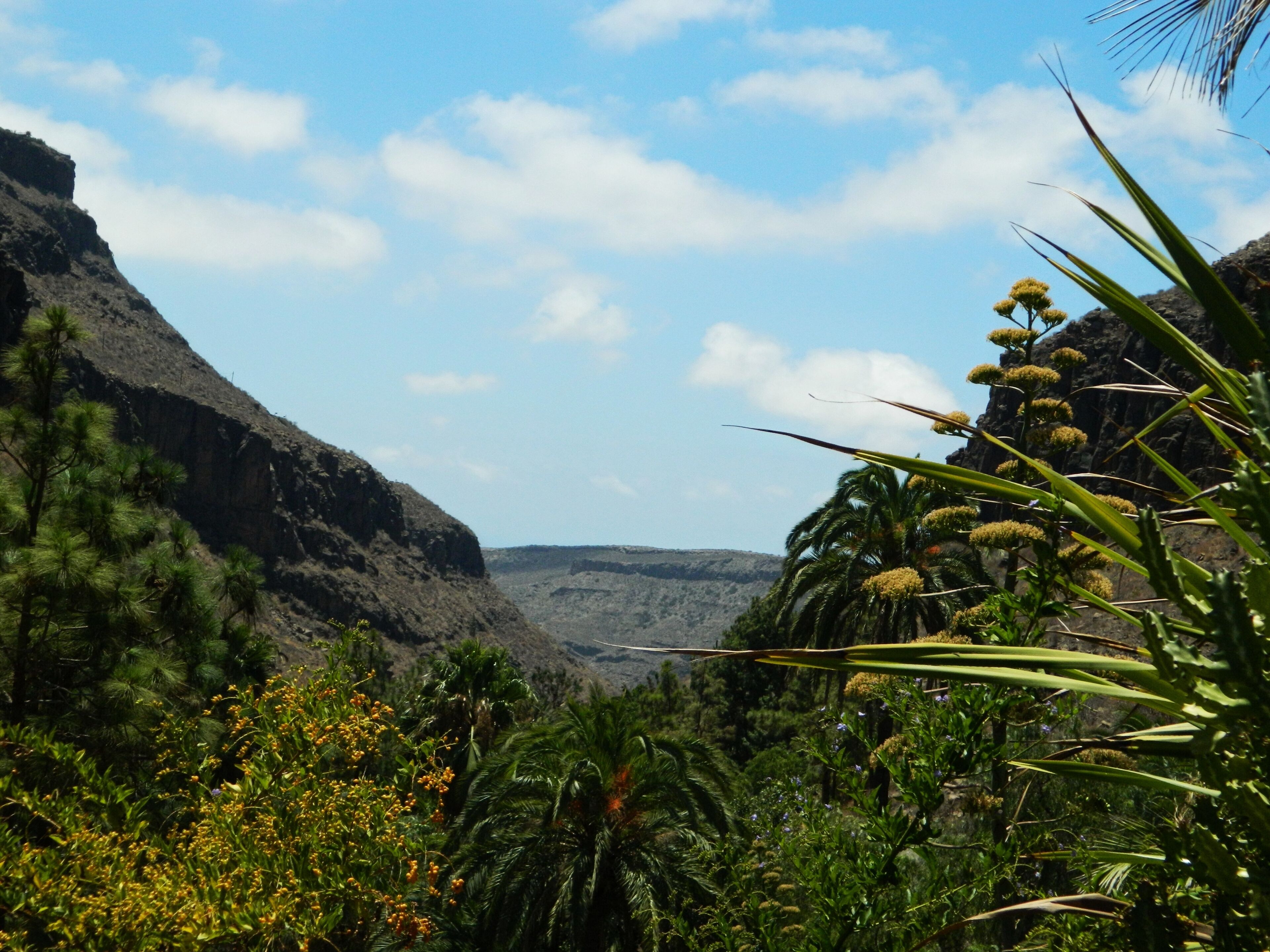San Bartolomé de Tirajana, Las Palmas, Spain