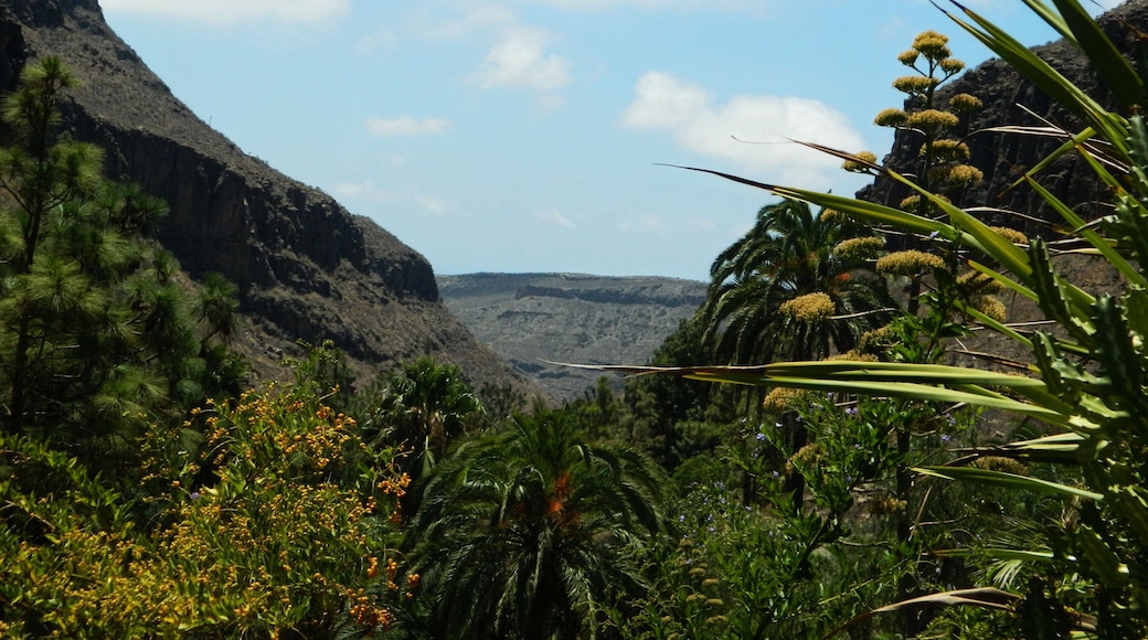 San Bartolomé de Tirajana, Las Palmas, Spain