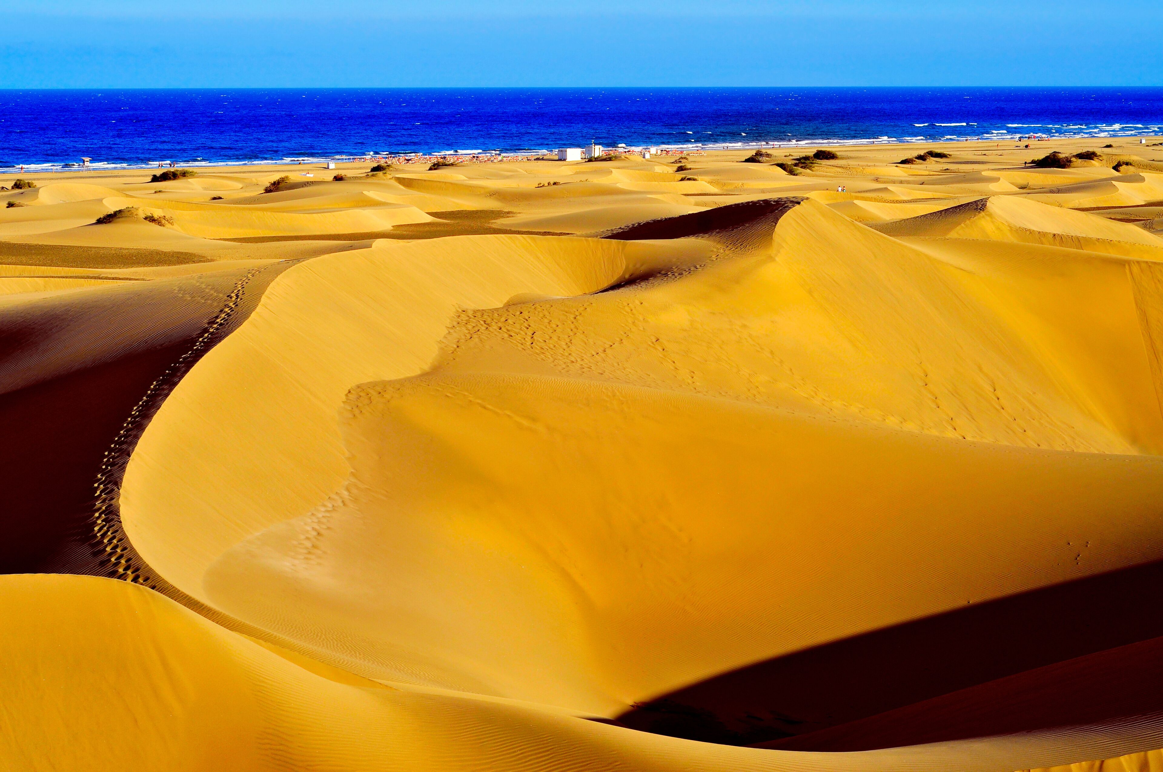 Natural Reserve of Dunes of Maspalomas, in Gran Canaria, Spain