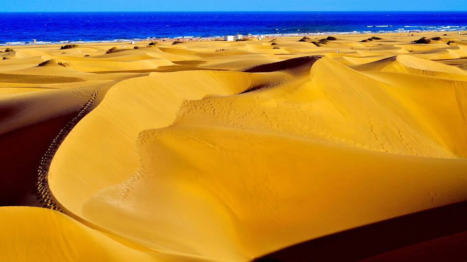 Sand dunes, a beach, and the ocean.