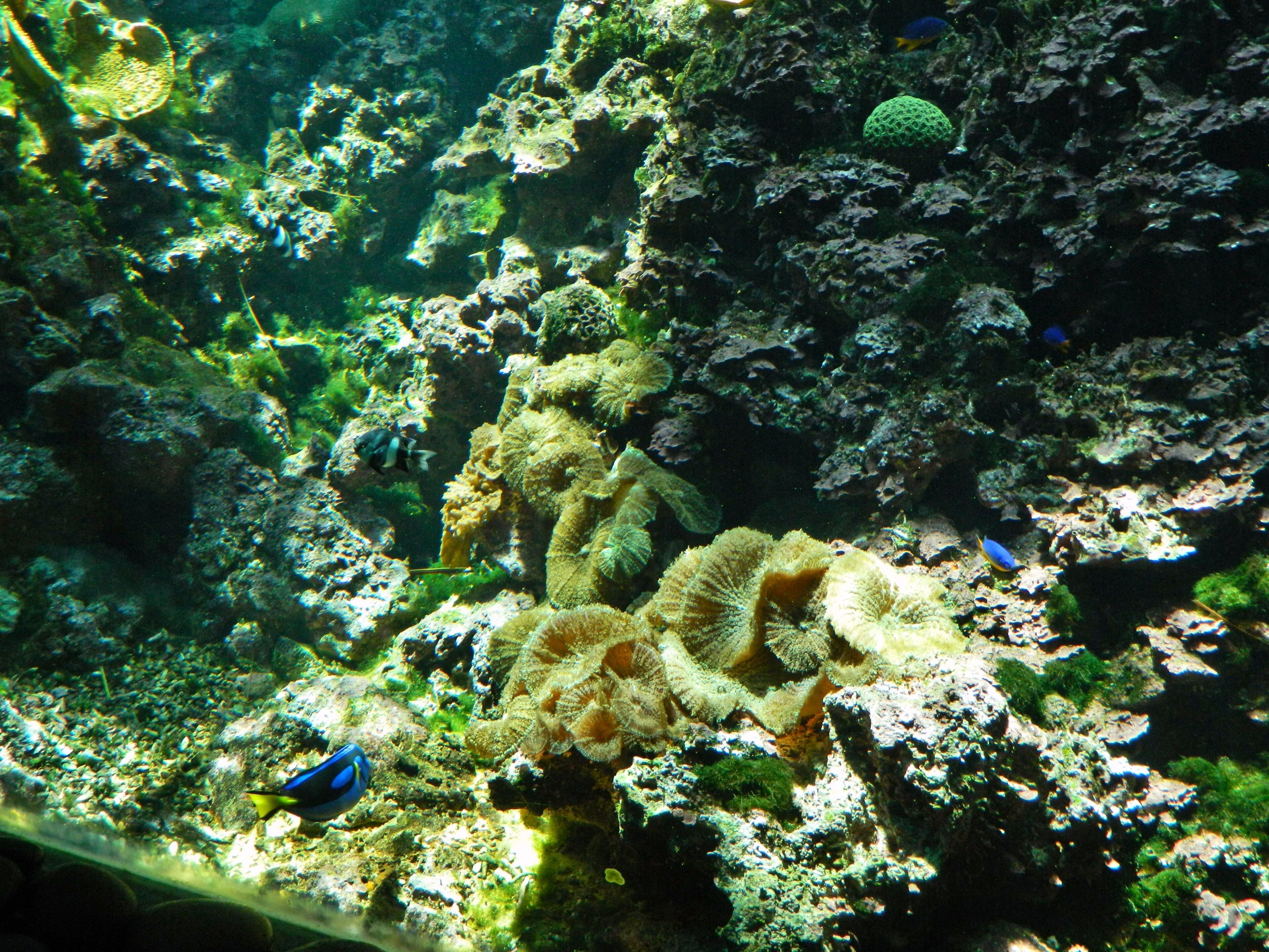 San Bartolomé de Tirajana, Las Palmas, Spain