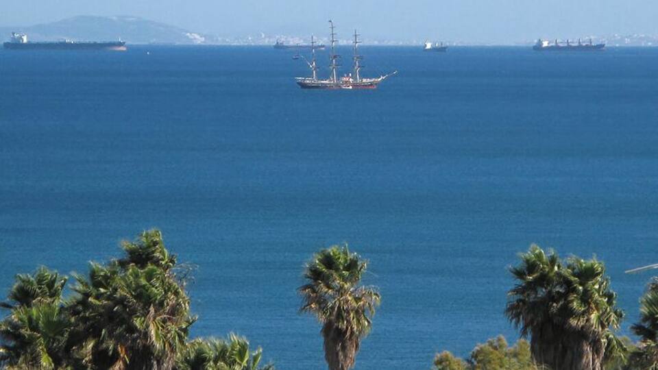 A coastal landscape with palm trees, a large ship, and a distant city skyline.