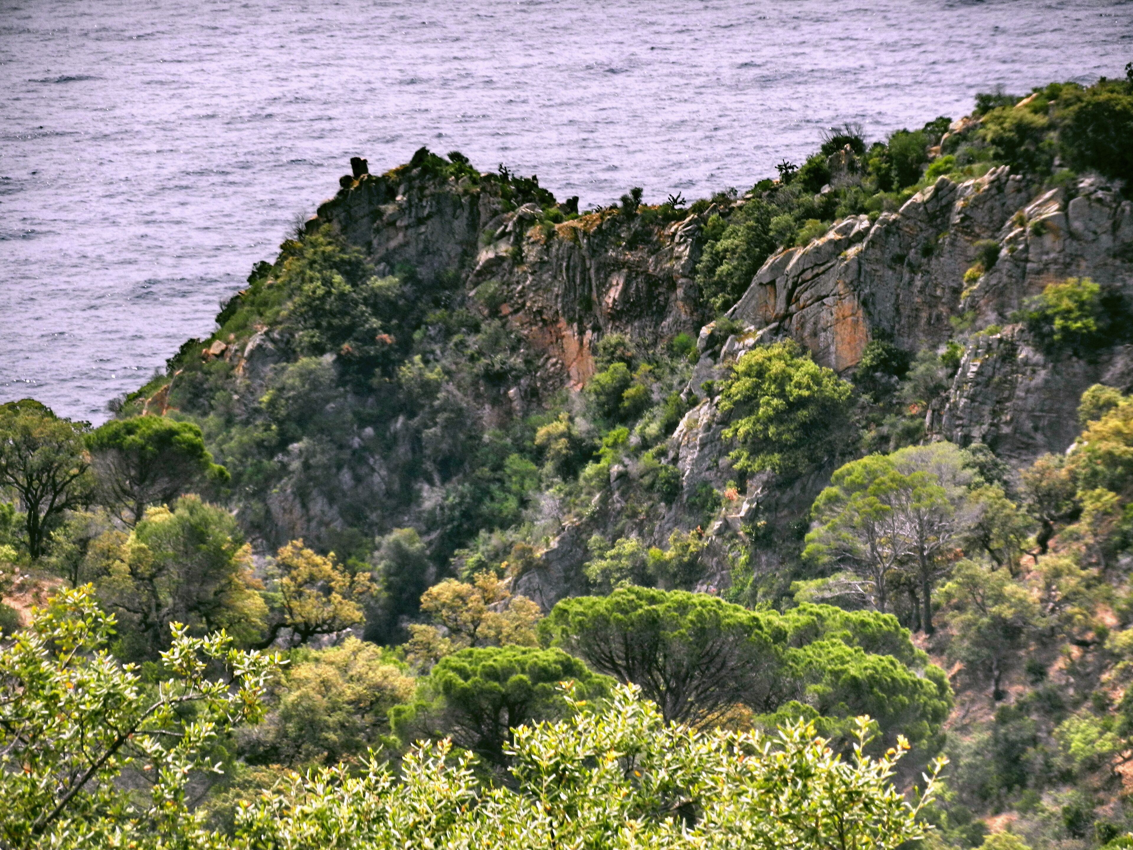 Costa Brava on the road G4 682