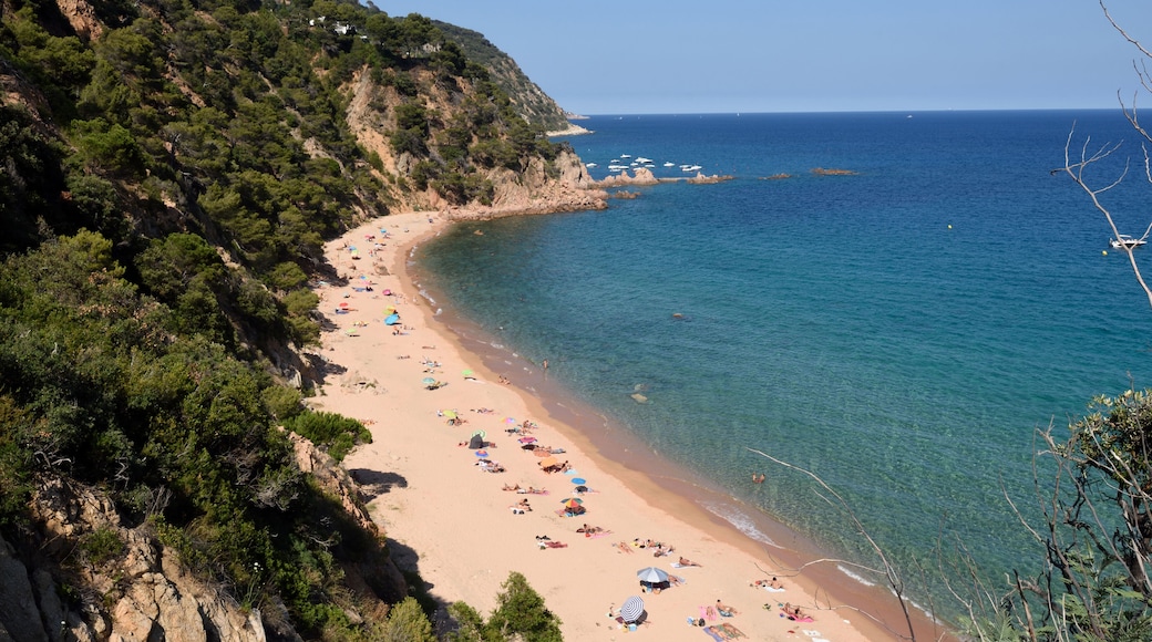 Santa Cristina de Aro