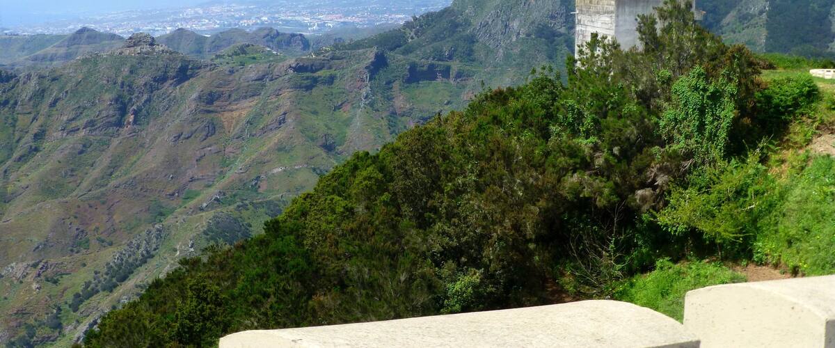 Teneriffa – Fahrt auf der TF-12 durch den Mercedeswald