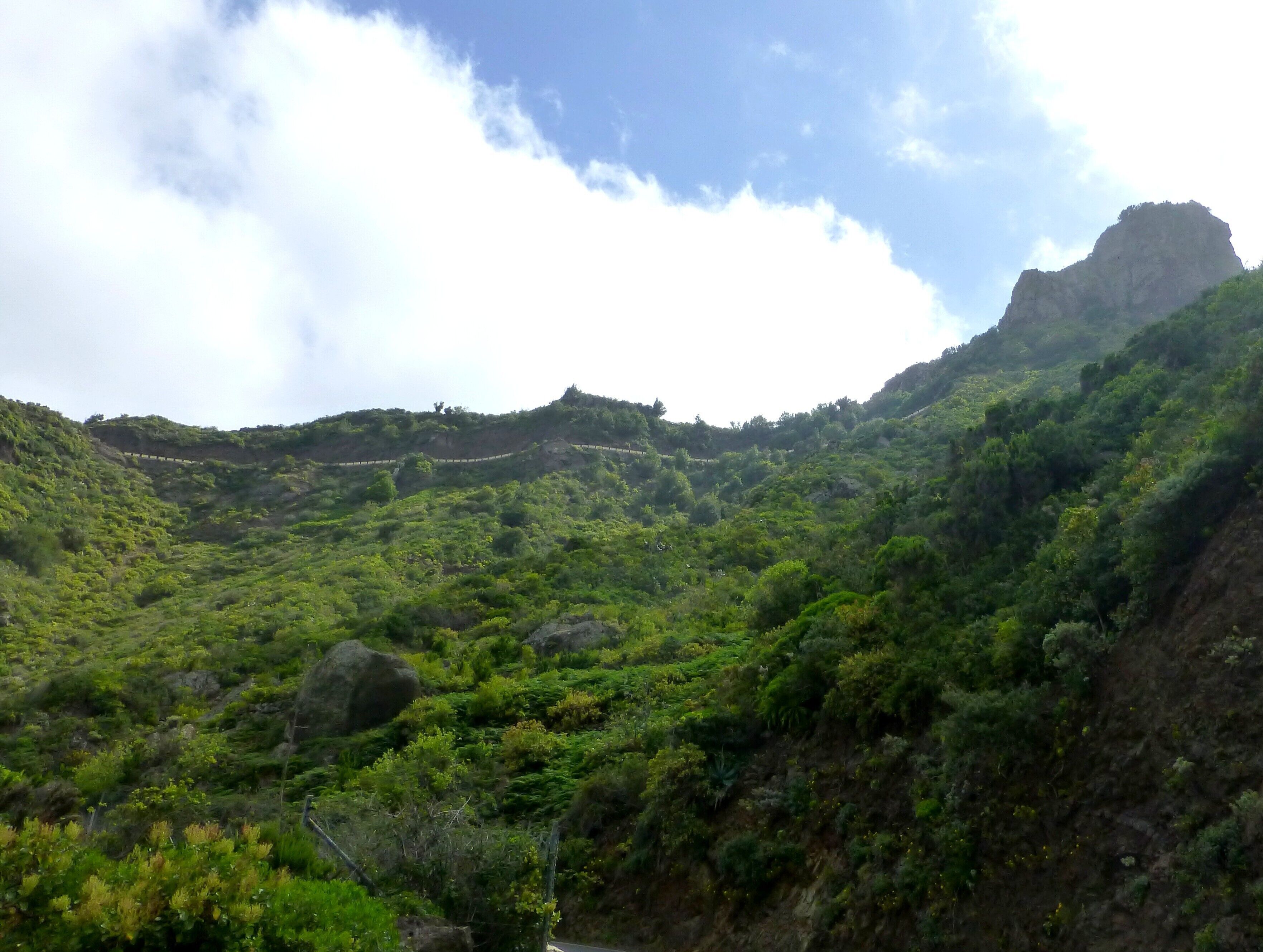 Teneriffa - Anaga-Gebirge