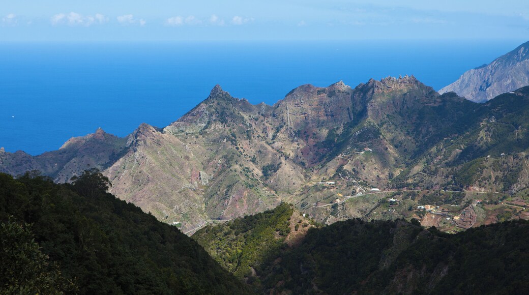 Teneriffa February 2012