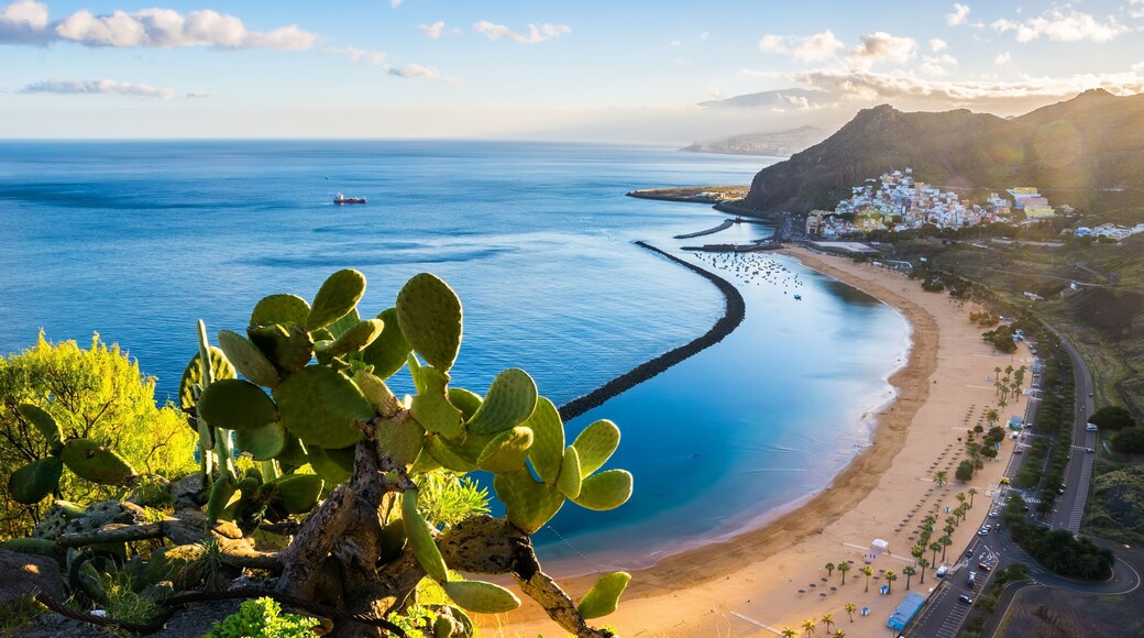 Santa Cruz de Tenerife