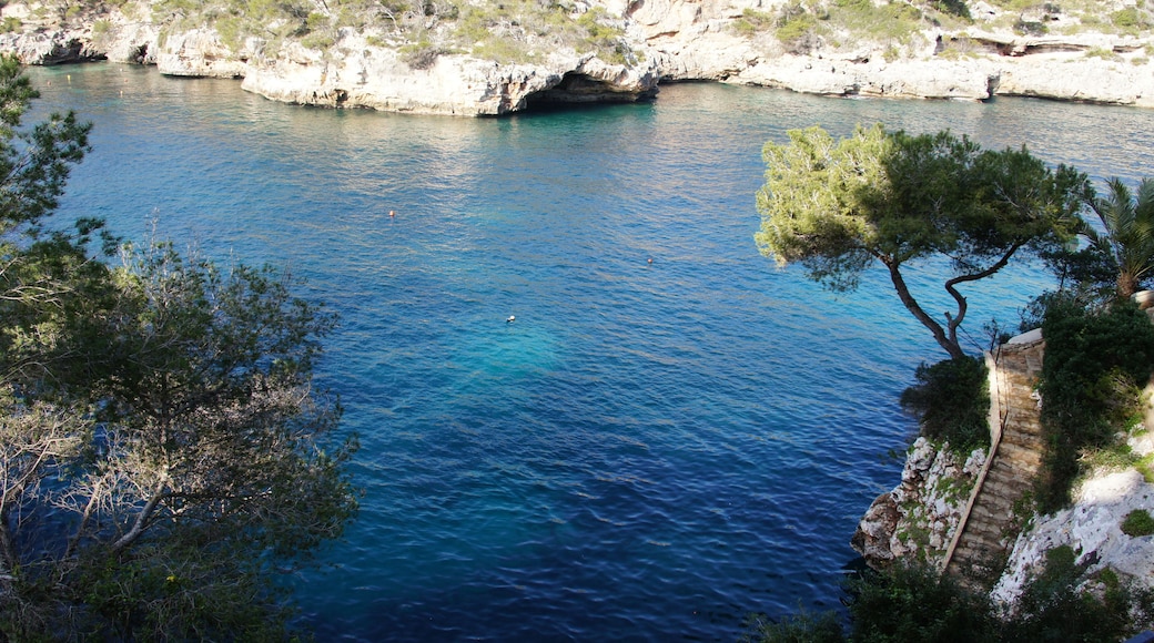 Cala Figuera