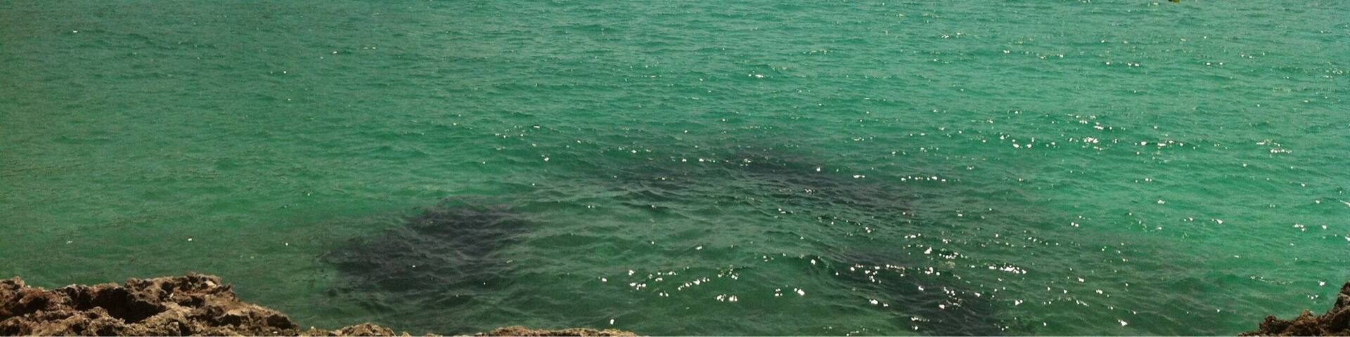 Mallorca, Cala Mondrago. Beautiful water and scenery