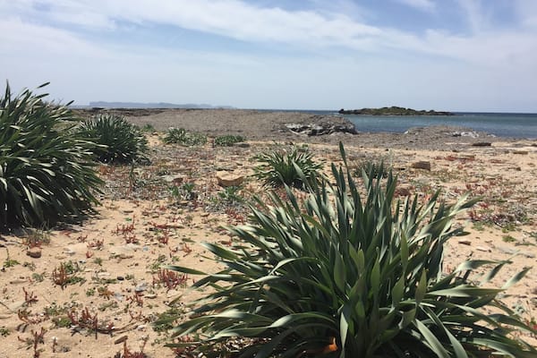 After around 10 km we finally made it to Es Caragol. A beautiful beach with white sand and crystal-clear water awaited us. The hike starts at the port of ColĂČnia de Sant Jordi and ends at the lighthouse of Cap de Ses Salines. It's all flat, but bring plenty of water & sunscreen because there's not much shade along the way. #hikingmallorca