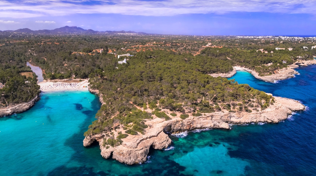 Aerial Drone panorama of S'Amarador Beach in Mondrago National Park. Scenic View of Pristine White Sand Turquoise Water and Pine Forest. Mallorca Majorca Island Spain. 8kHigh Quality