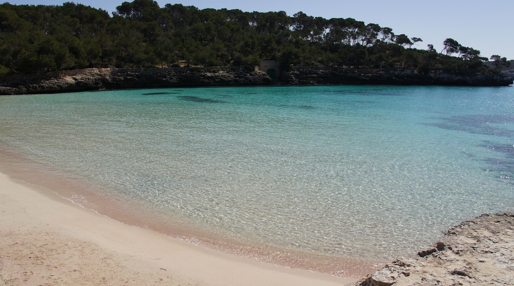 07650 Cap des MorĂł, Illes Balears, Spain