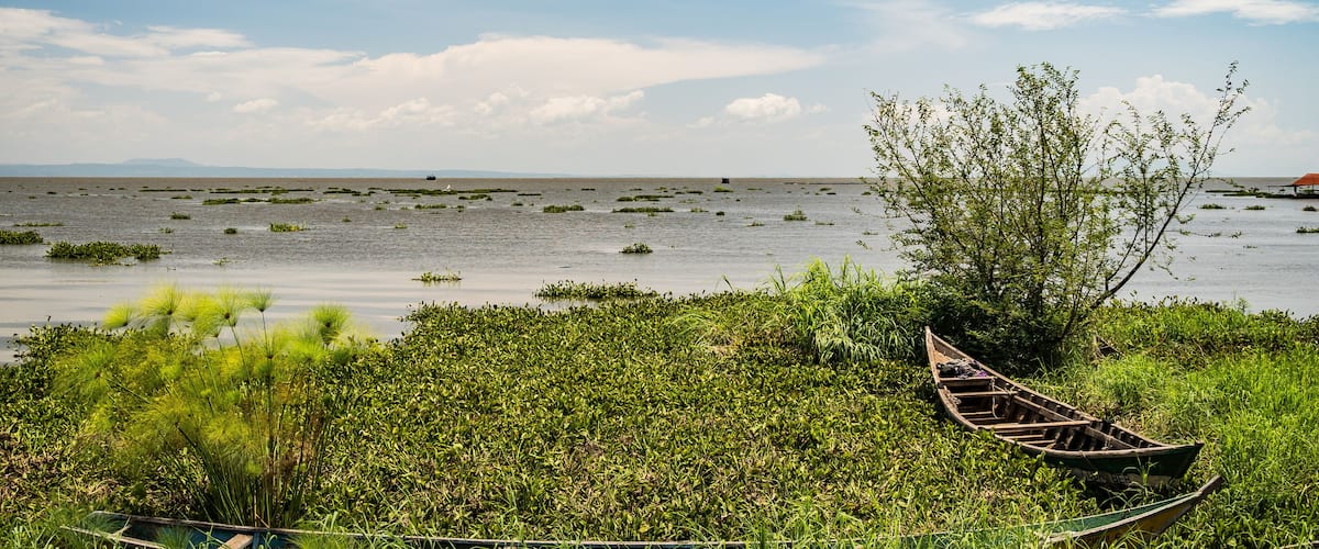 Dunga fishing village, near Kisumu, Kenya - March 8th, 2019 - a view of fishing boats trapped in hyacinth, lake Victoria