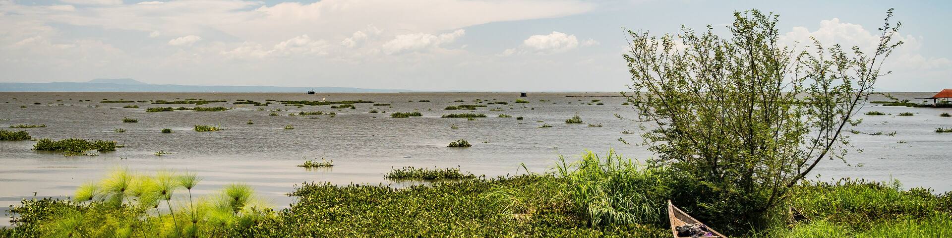 Dunga fishing village, near Kisumu, Kenya - March 8th, 2019 - a view of fishing boats trapped in hyacinth, lake Victoria