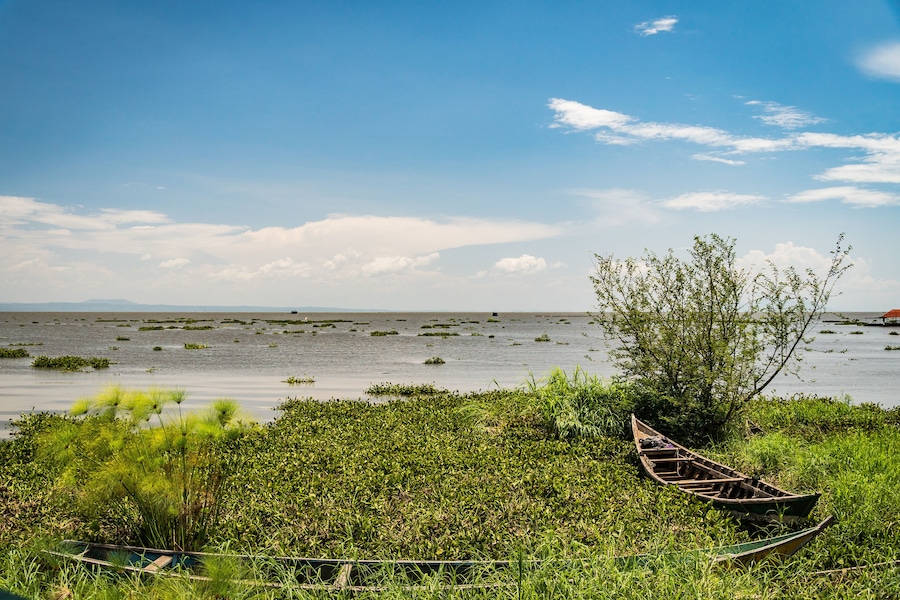 Dunga fishing village, near Kisumu, Kenya - March 8th, 2019 - a view of fishing boats trapped in hyacinth, lake Victoria