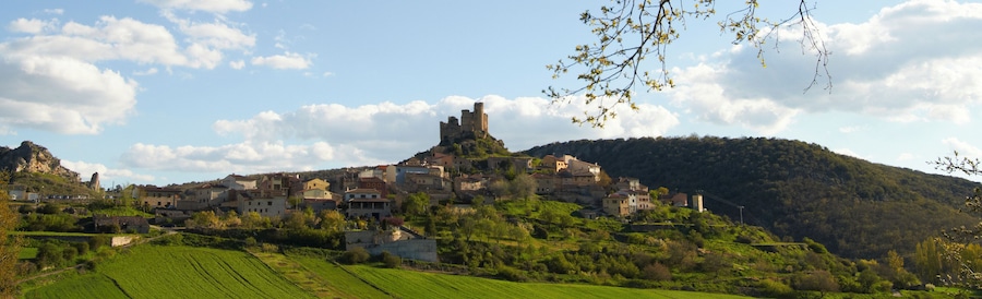 Pelegrina