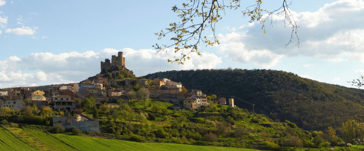 A historic town with medieval architecture, terraced vineyards, and a prominent castle on a hill.