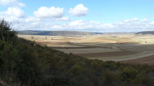 View North from the path from Palazuelos to Carabias (Guadalajara, Spain).