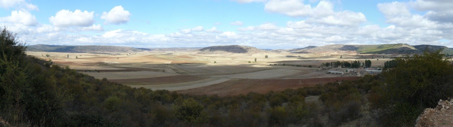 View North from the path from Palazuelos to Carabias (Guadalajara, Spain).