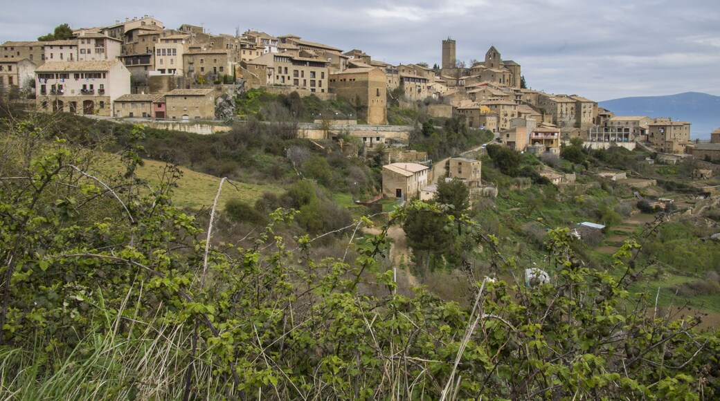 Sos del Rey Católico