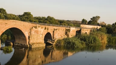 Old Bridge at Talavera de la Reina, Toledo, Spain