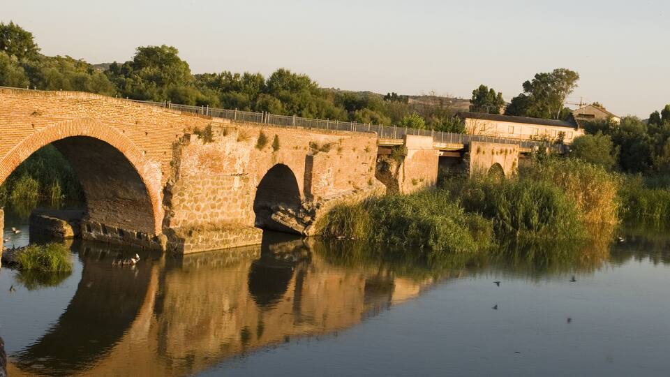 A stone bridge over a calm river with reflections, surrounded by greenery and trees.