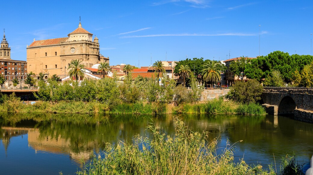 Talavera de la Reina