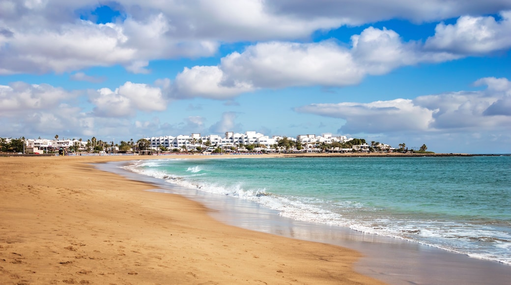 View of Playa de los Pocillos beach in Puerto del Carmen town, Lanzarote. Panorama of sandy beach with turquoise ocean water, white houses of tourist resort on Canary Islands, Spain