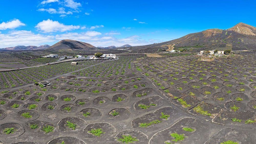 Un paysage volcanique avec des champs en terrasses et une montagne en arrière-plan.
