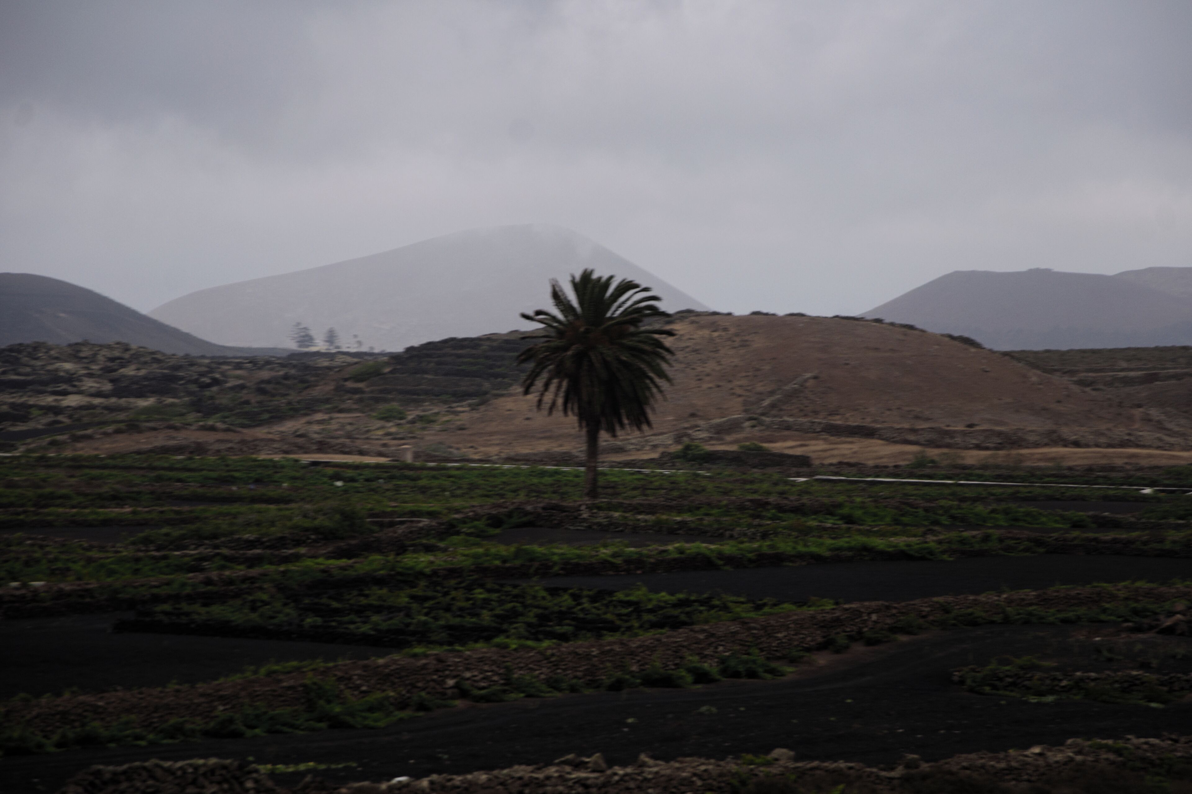 Grounds in Mancha Blanca, Lanzarote.