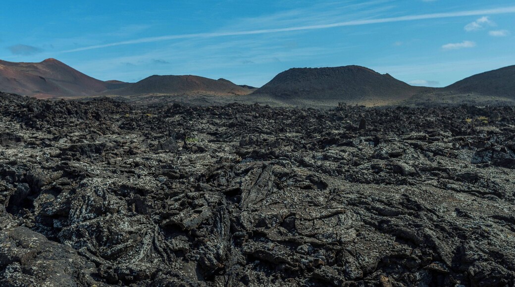 Lanzarote February 2016-6922